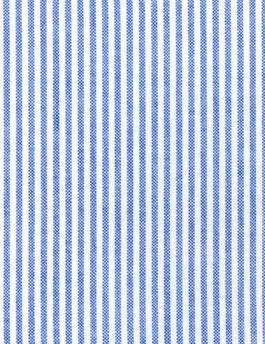 Oxford Stripe Blue Fabric