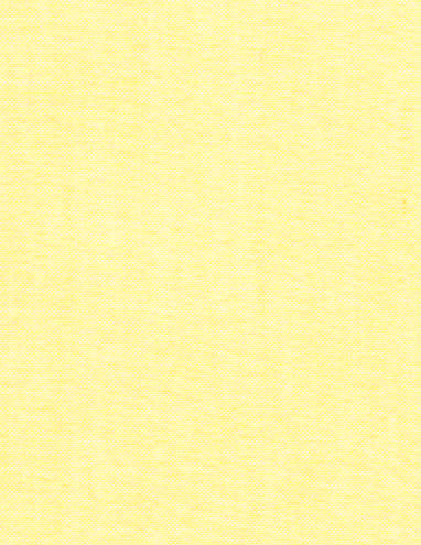 Oxford Yellow Fabric